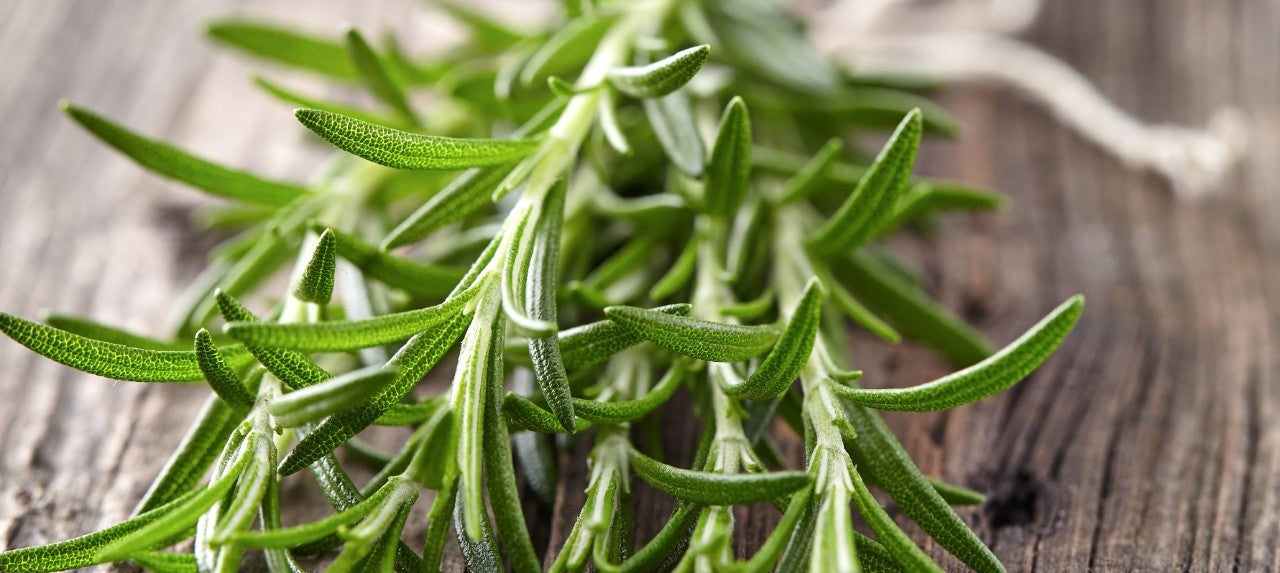 Rosemary 670x300 Rosemary 670x300